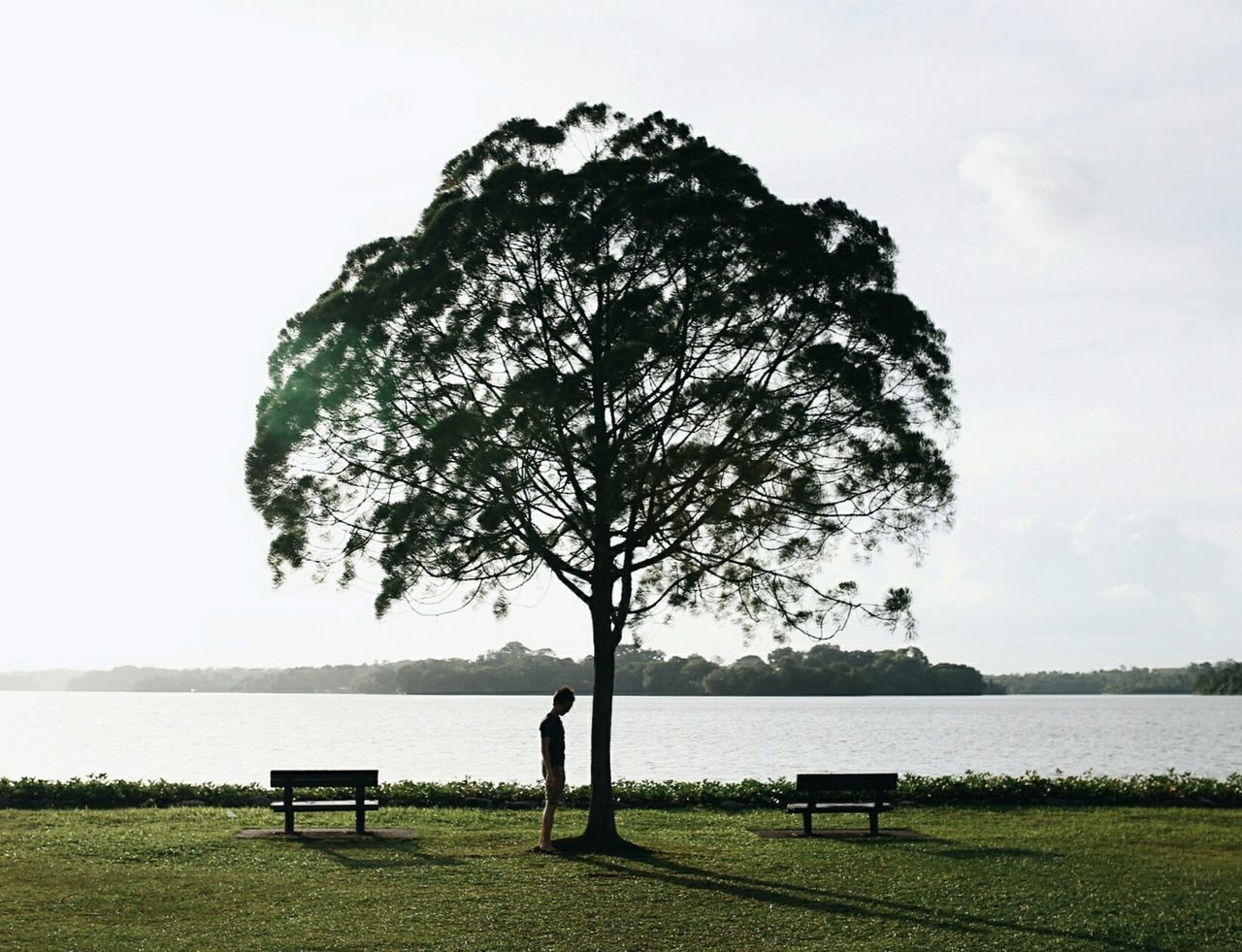 Scenic view of calm lake with trees in background