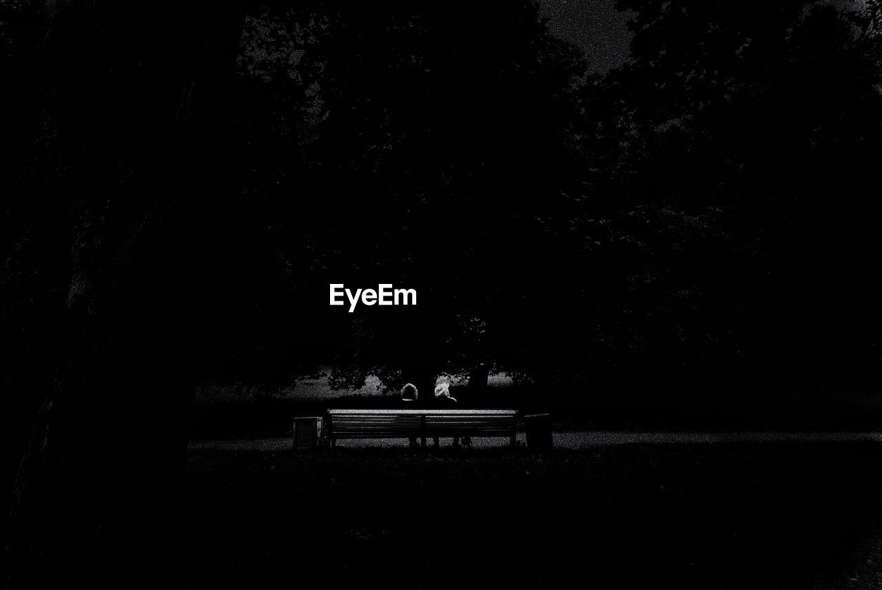 EMPTY BENCH IN PARK AGAINST TREES IN THE DARK