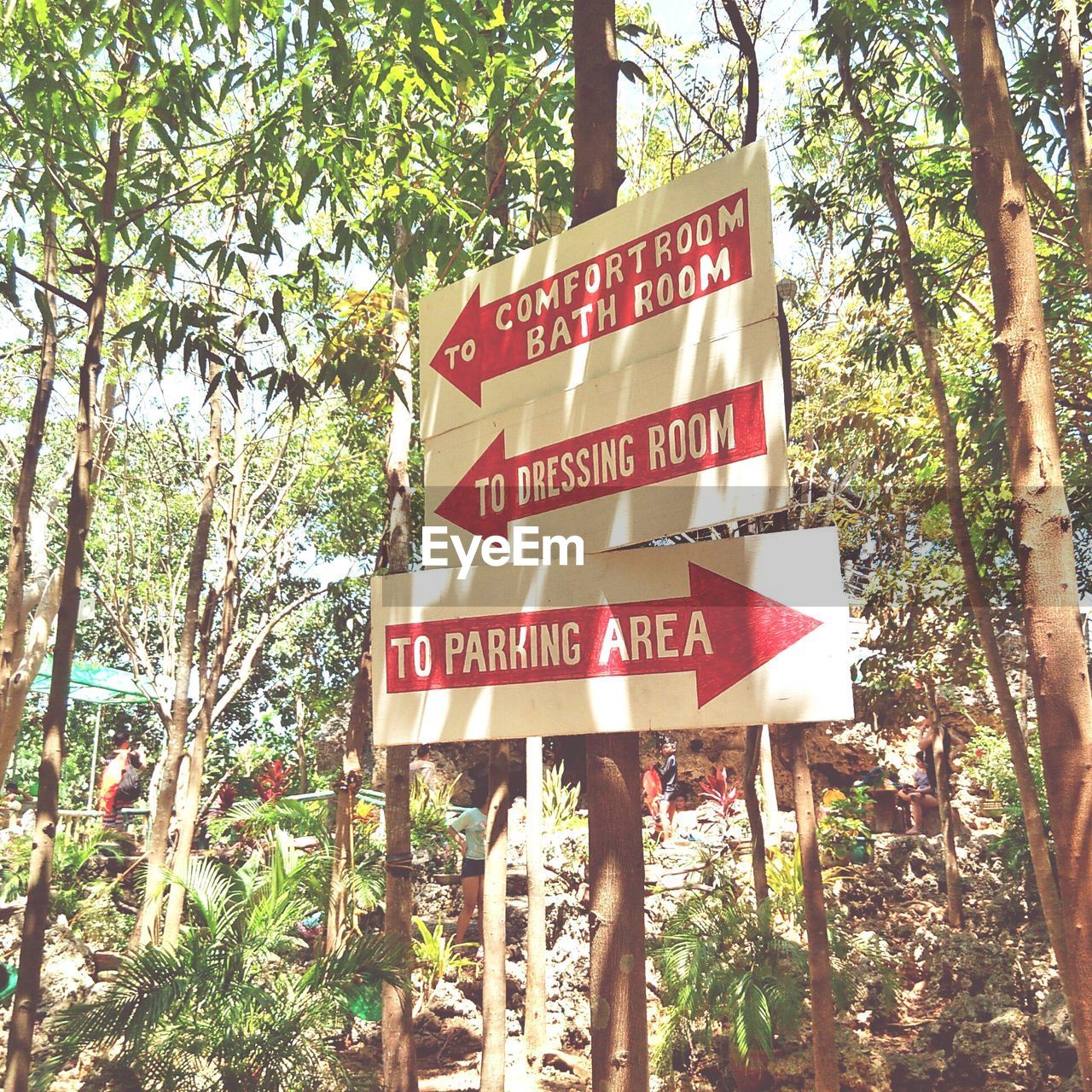 LOW ANGLE VIEW OF INFORMATION SIGN AGAINST TREE TRUNK