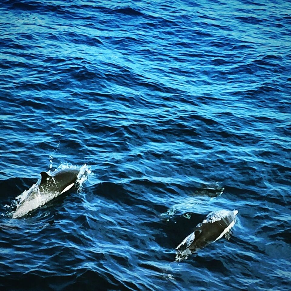 VIEW OF BOATS IN SEA