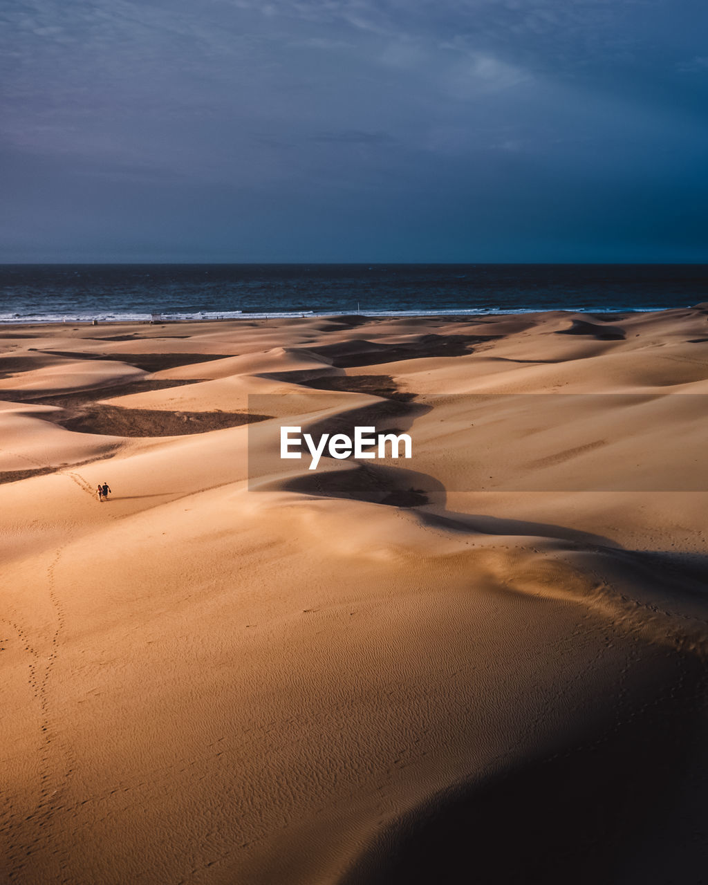 SCENIC VIEW OF SANDY BEACH AGAINST SKY