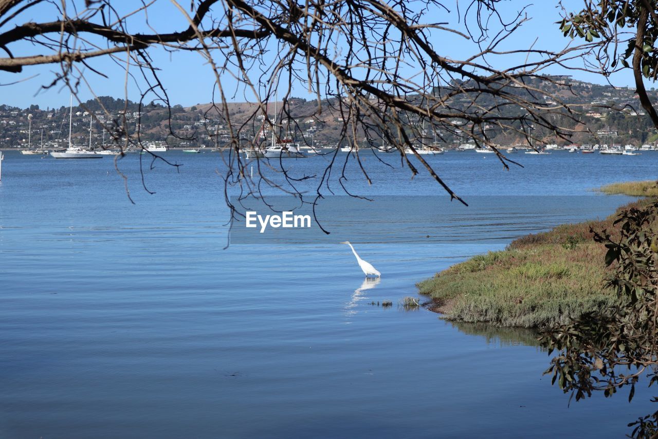 SCENIC VIEW OF LAKE