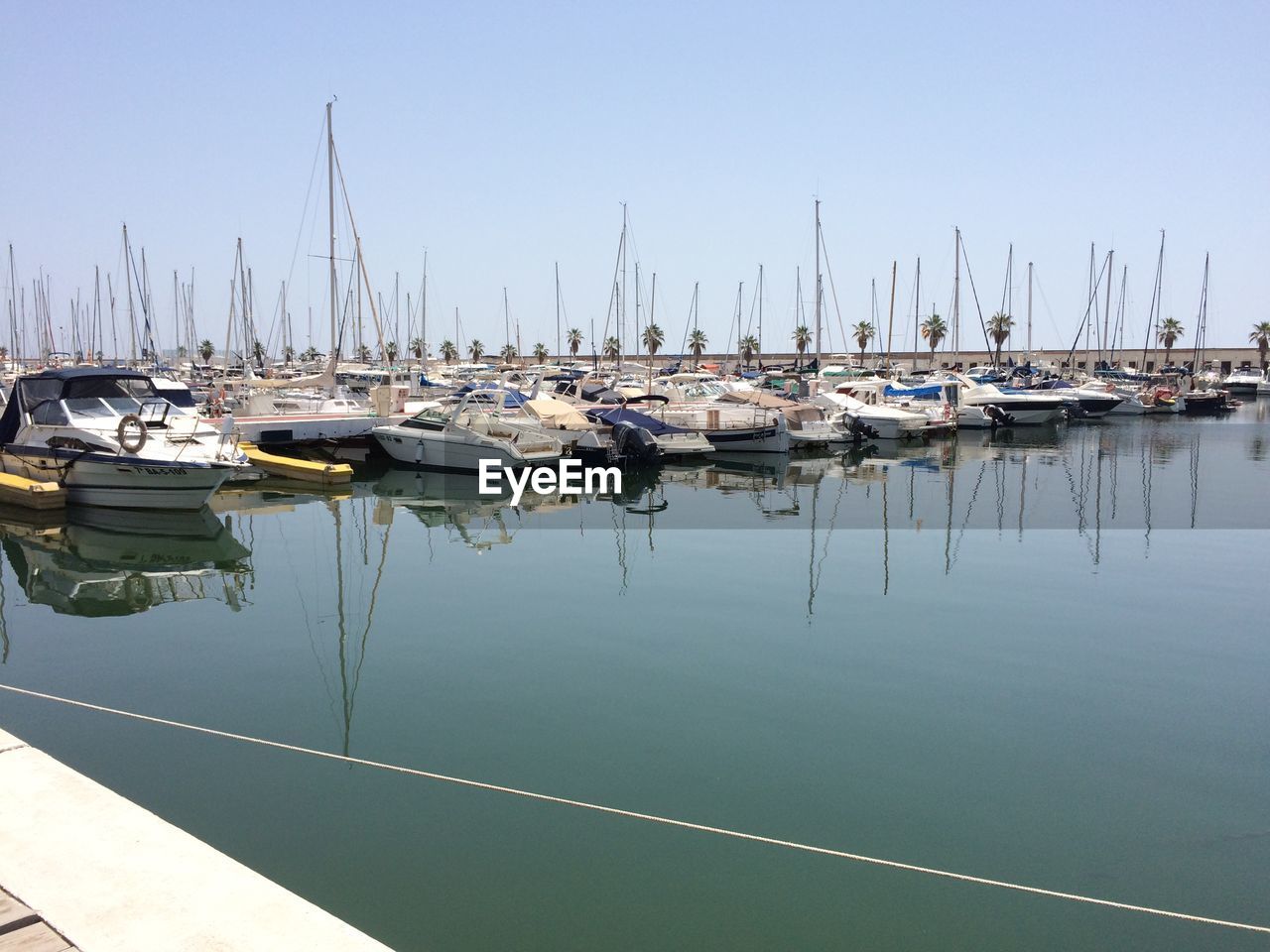 Sailboats moored in harbor