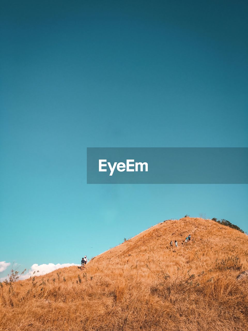 LOW ANGLE VIEW OF LANDSCAPE AGAINST CLEAR SKY