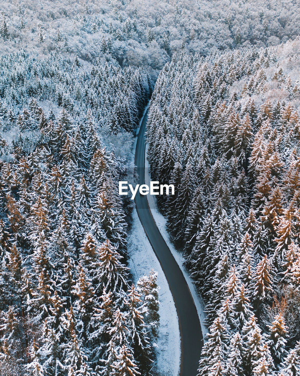 High angle drone photo view of frozen trees and curvy road during winter