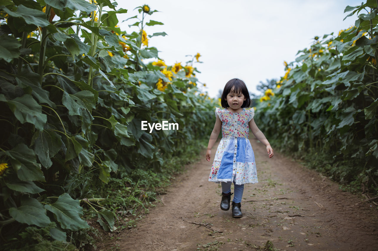 Full length of girl walking amidst plants