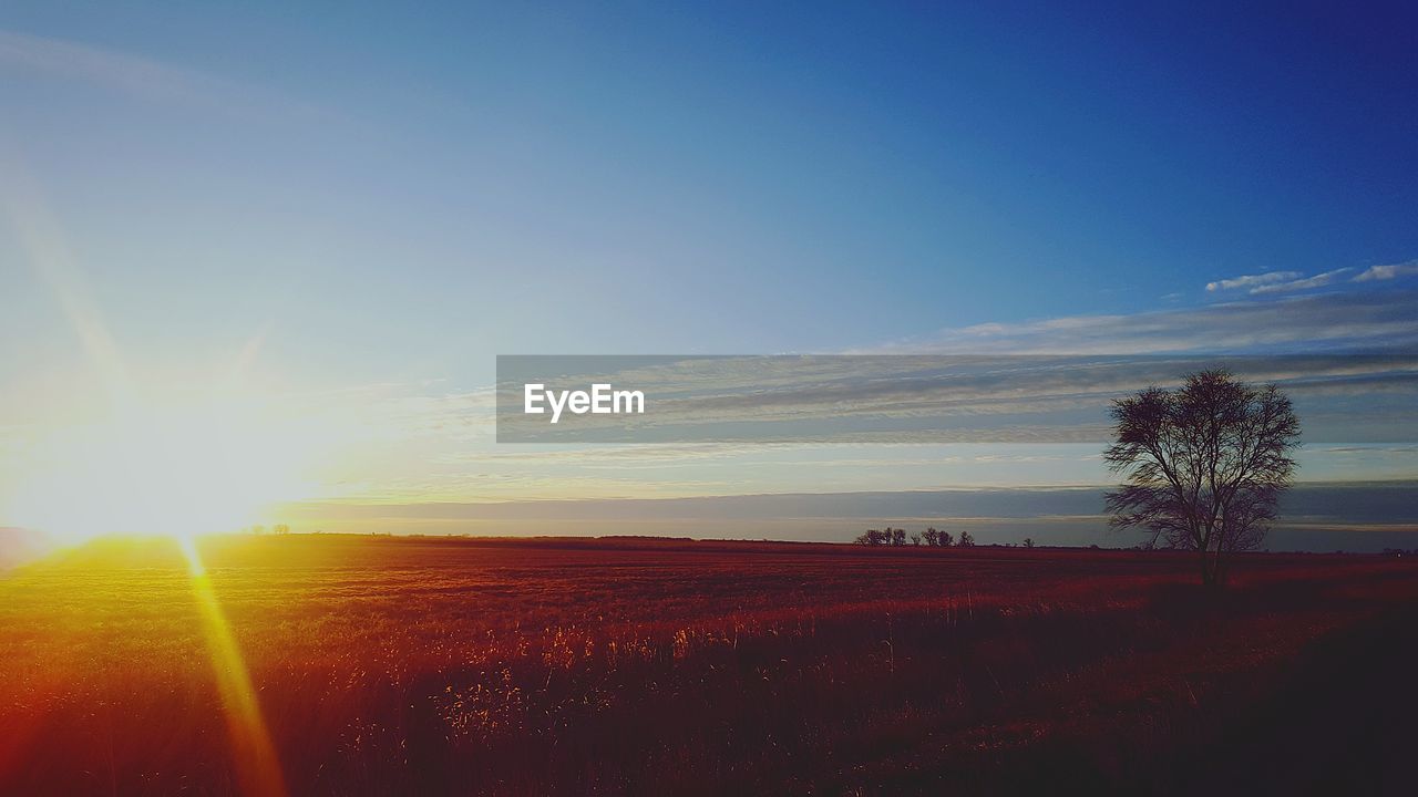 SCENIC VIEW OF AGRICULTURAL FIELD AGAINST SKY AT SUNSET