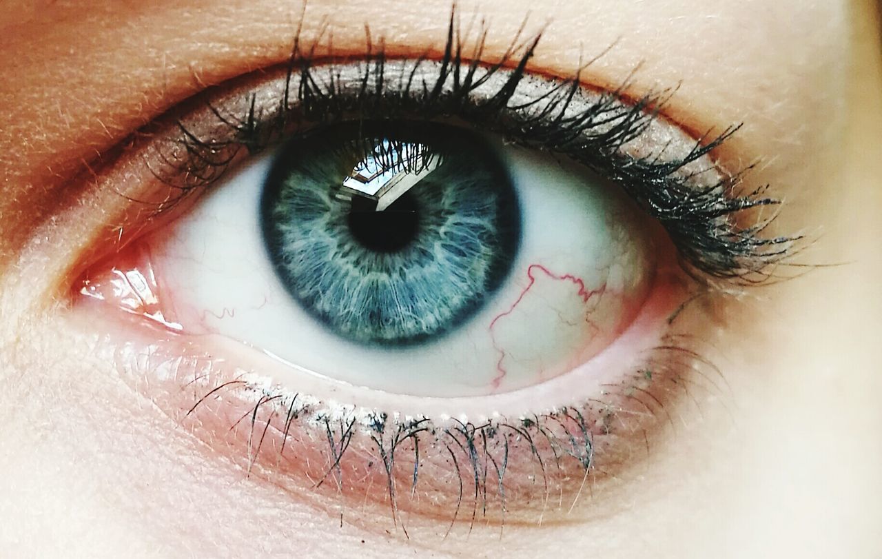 Cropped image of human eye