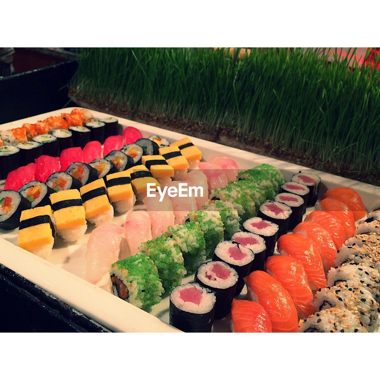 Close-up of sushi in tray