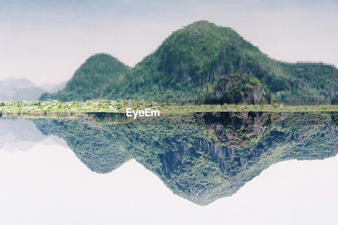 Close-up of reflection of tree in lake against clear sky