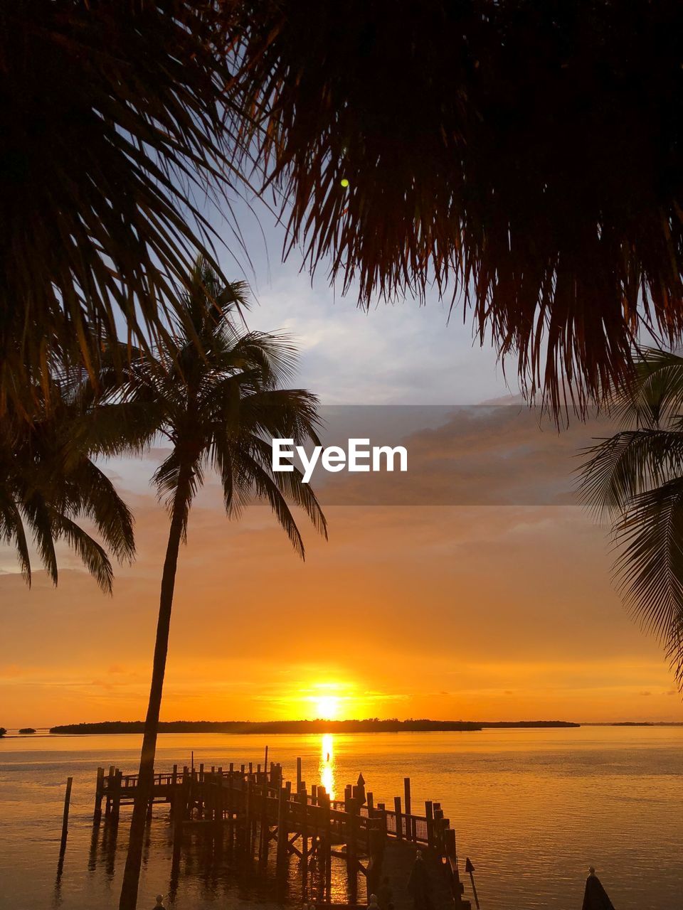 Silhouette palm trees by sea against sky during sunset