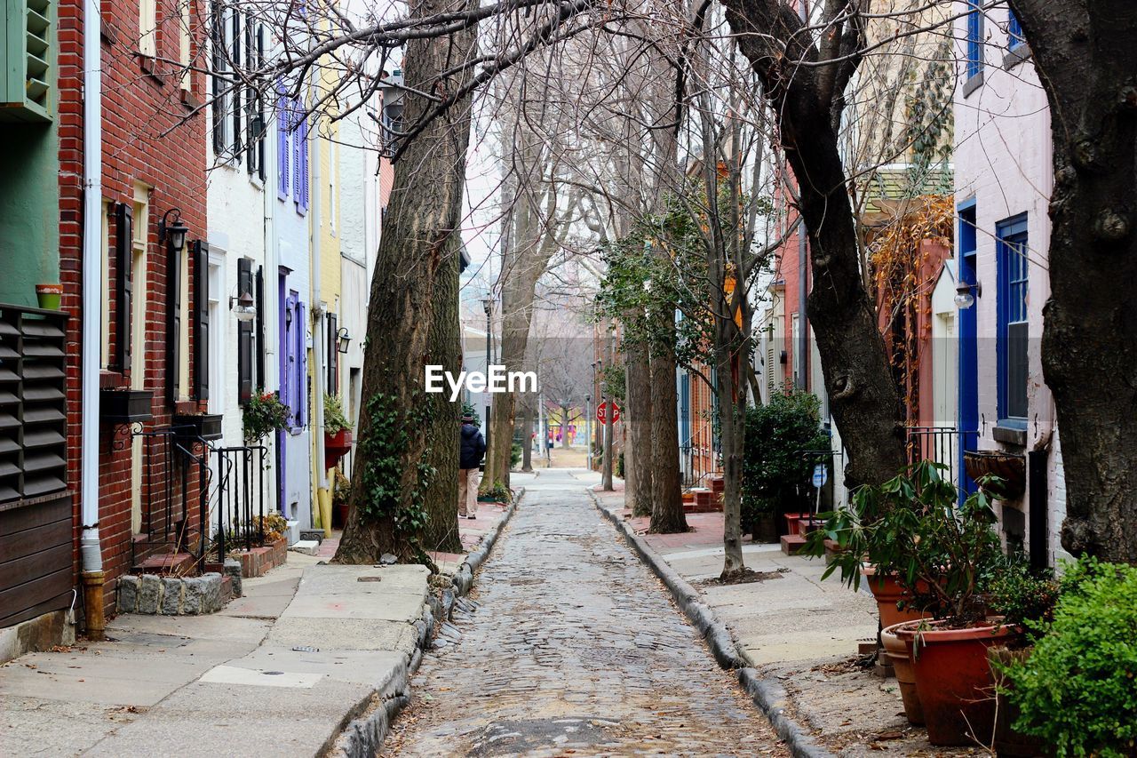 Footpath amidst trees and buildings in city