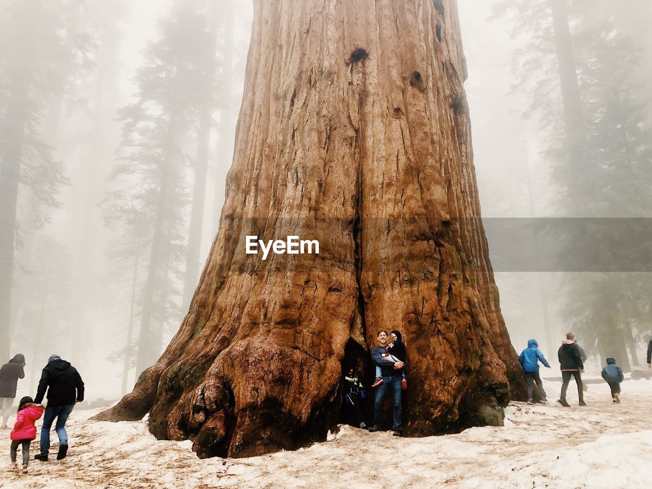 Portrait of smiling man with daughter standing against trees in forest during winter