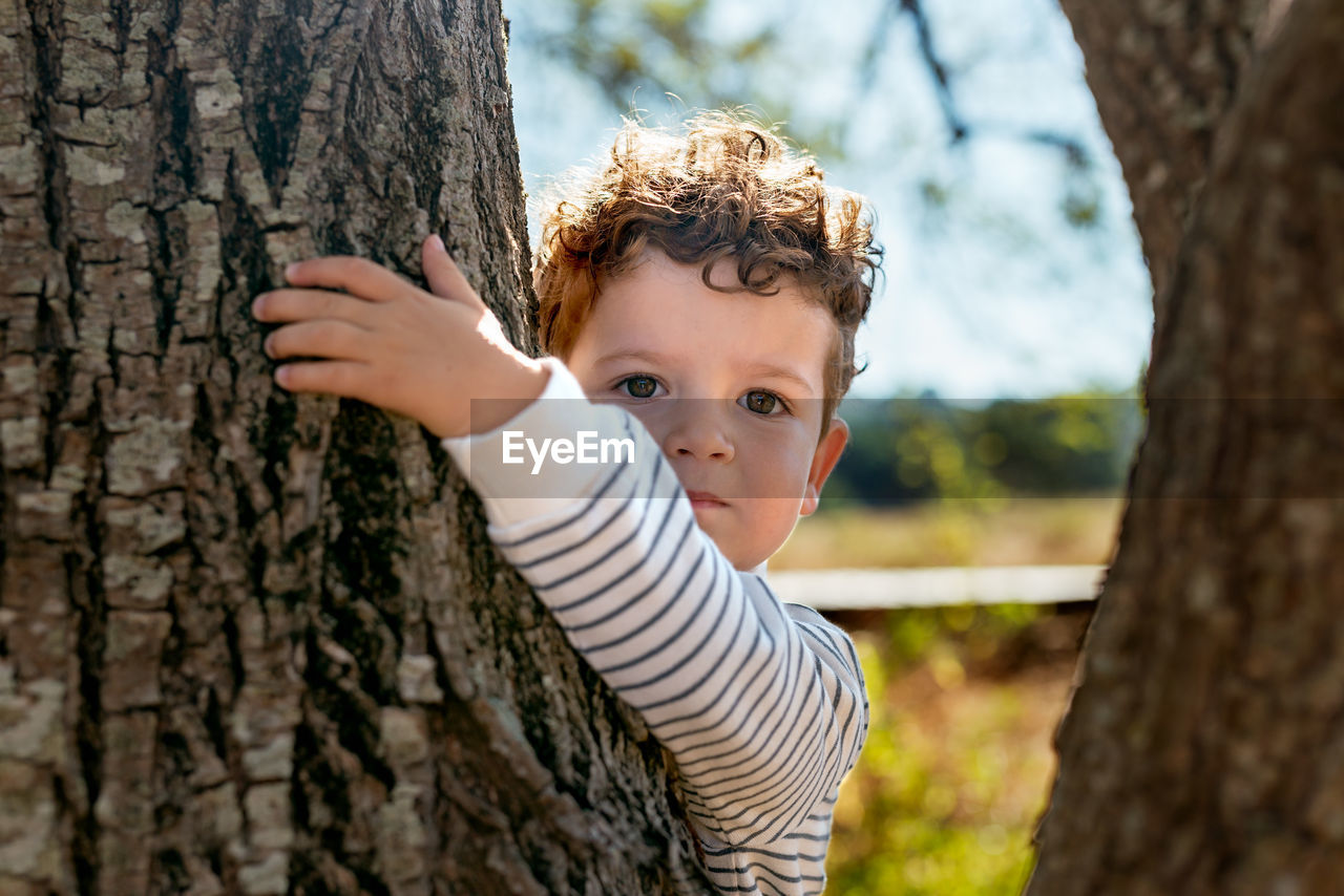 Serious charming kid with curly hair embracing tree with rough bark and looking at camera in sunny countryside