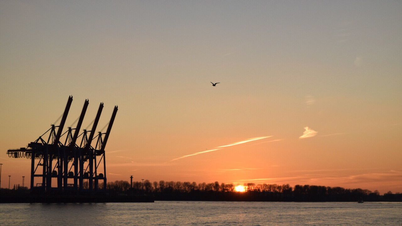 Low angle view of silhouette cranes by elbe river at sunset