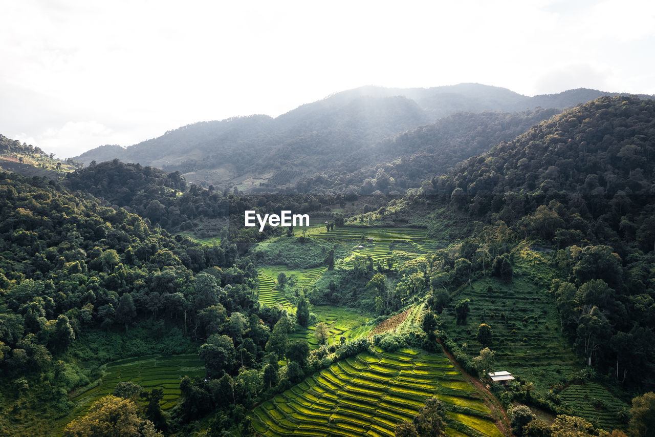 Scenic view of agricultural landscape against sky