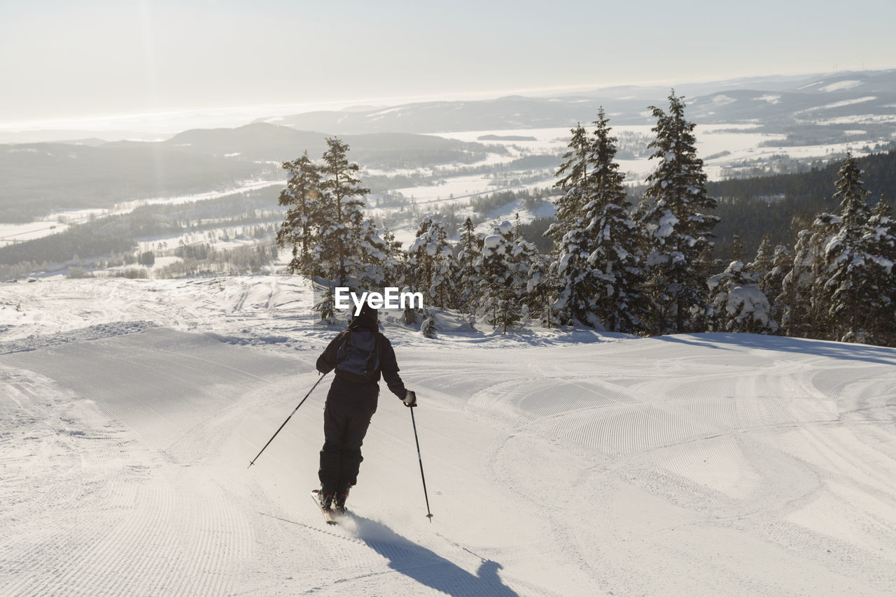 Rear view of skier