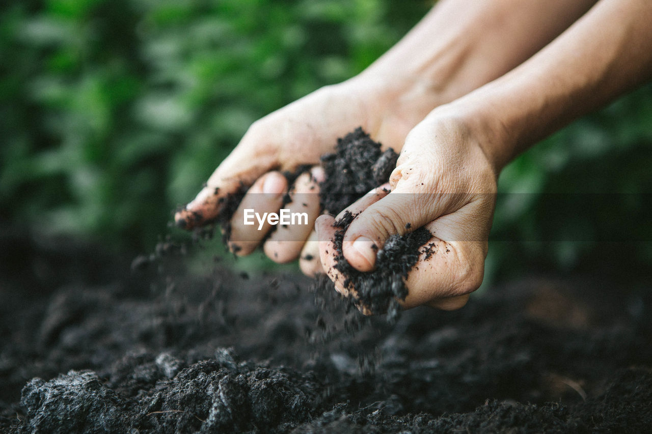 Close-up of man holding soil