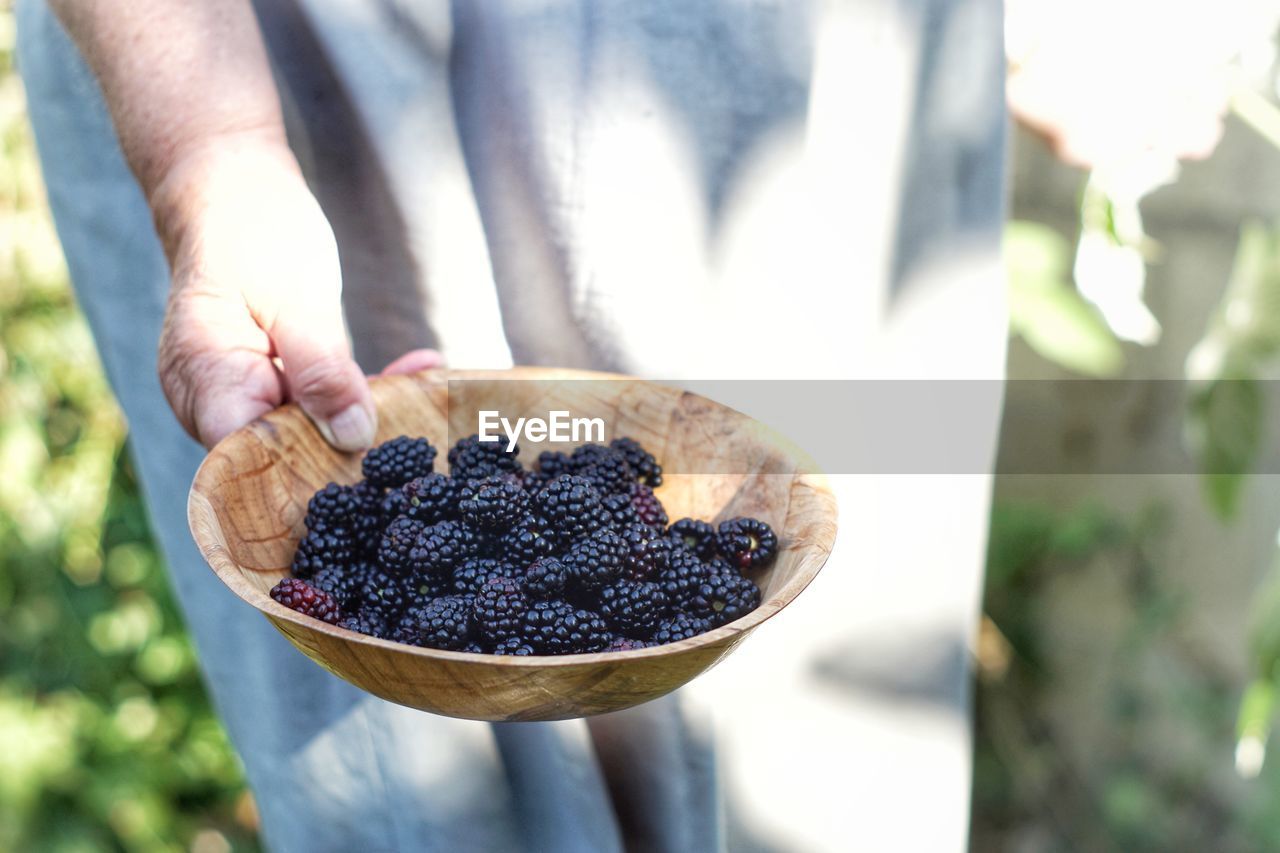 Midsection of person holding blackberries in wooden bowl at farm