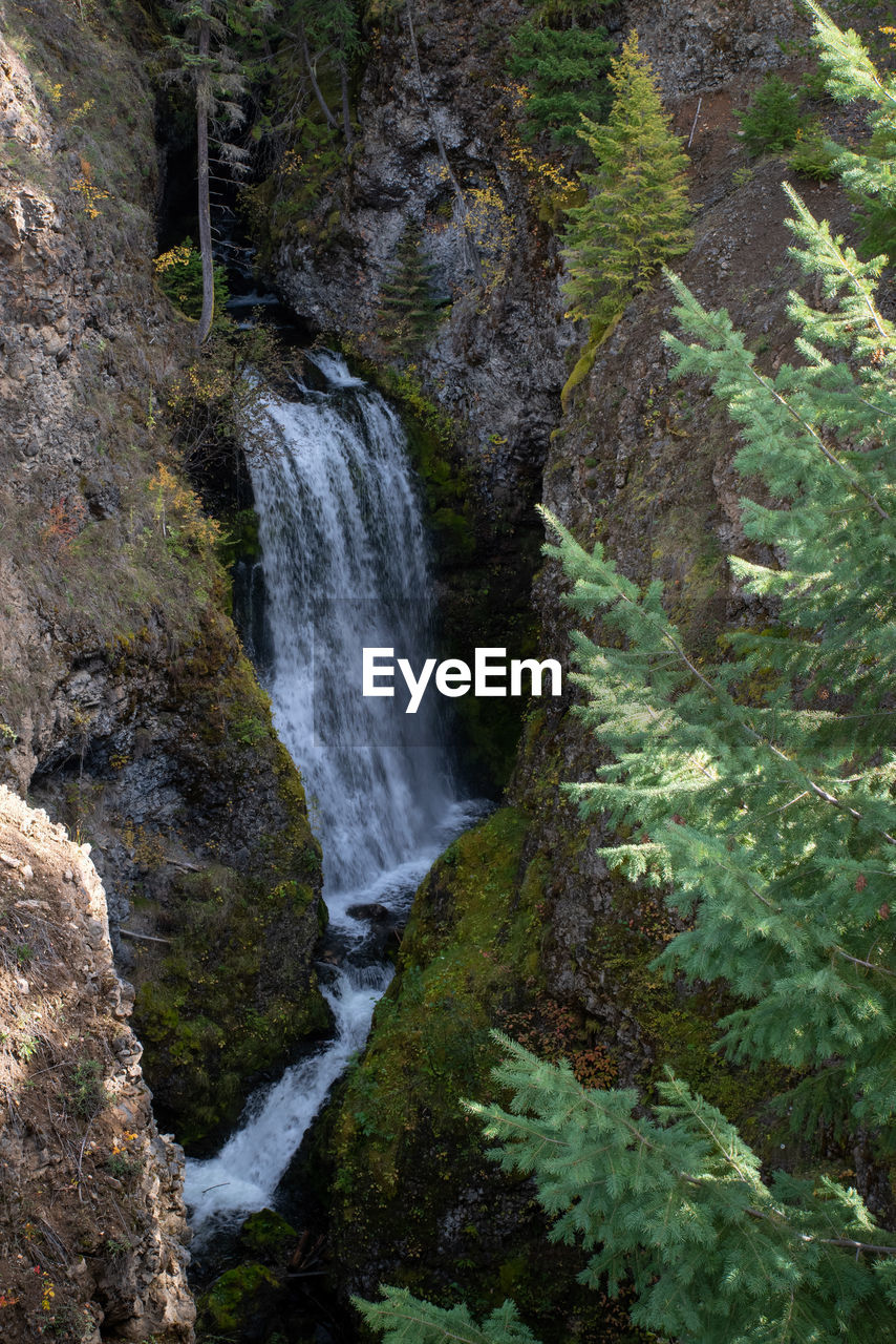 SCENIC VIEW OF WATERFALL