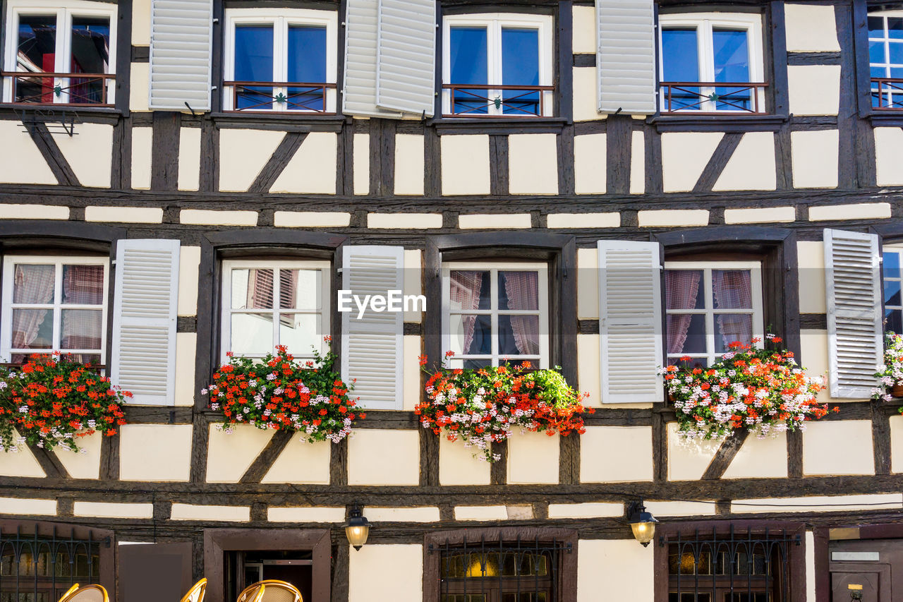 Flowers blooming on windows of residential building