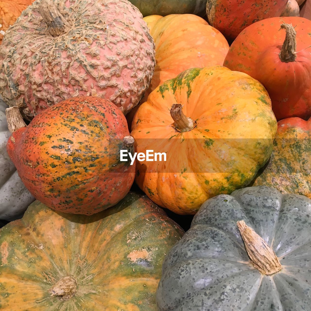 FULL FRAME SHOT OF PUMPKINS