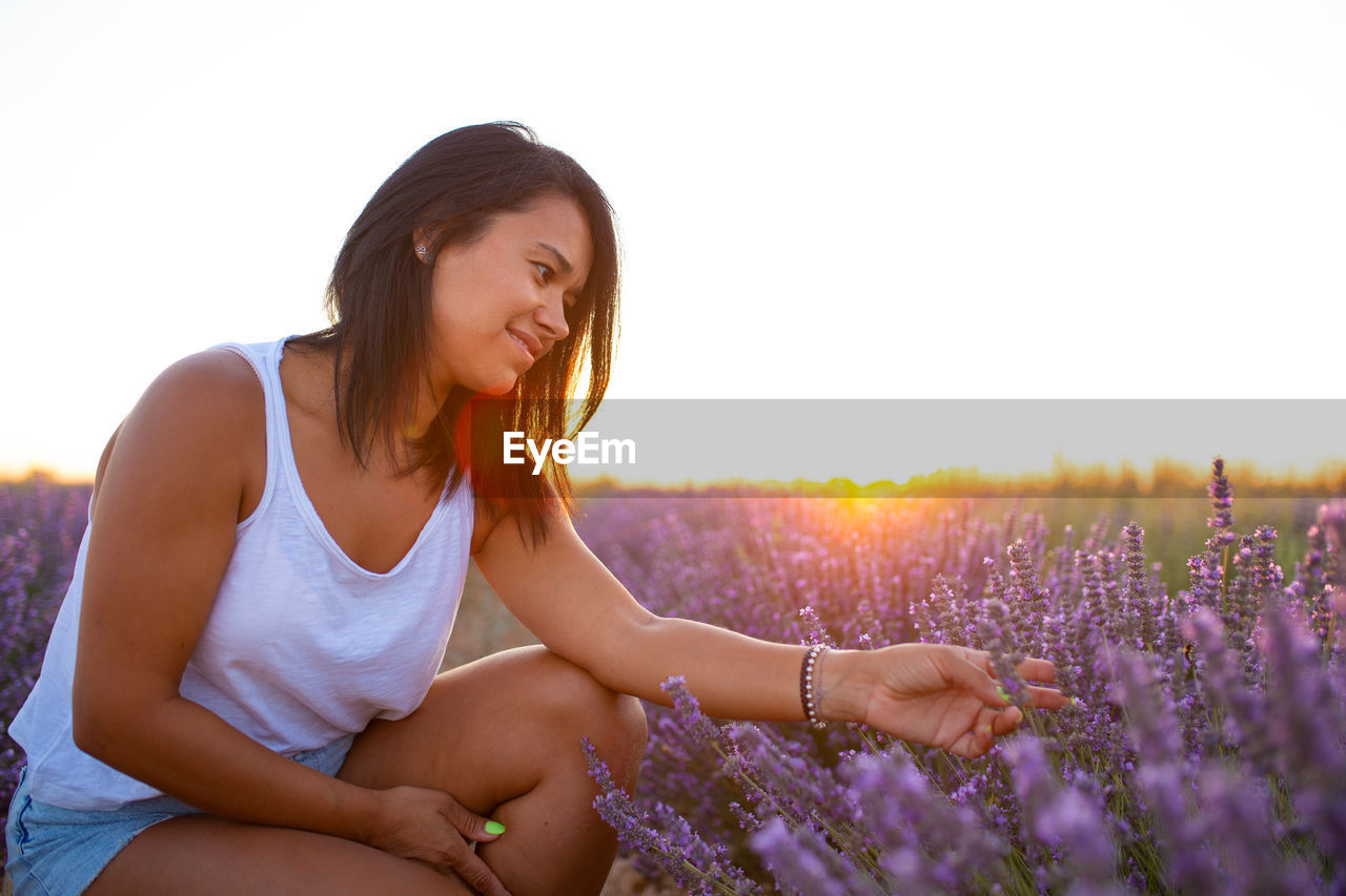 Young latin woman picks lavender flowers at sunset. handcrafted production with aromatic plants