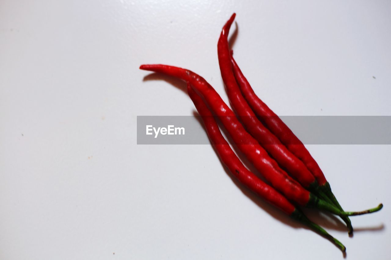 CLOSE-UP OF RED CHILI PEPPER OVER WHITE BACKGROUND