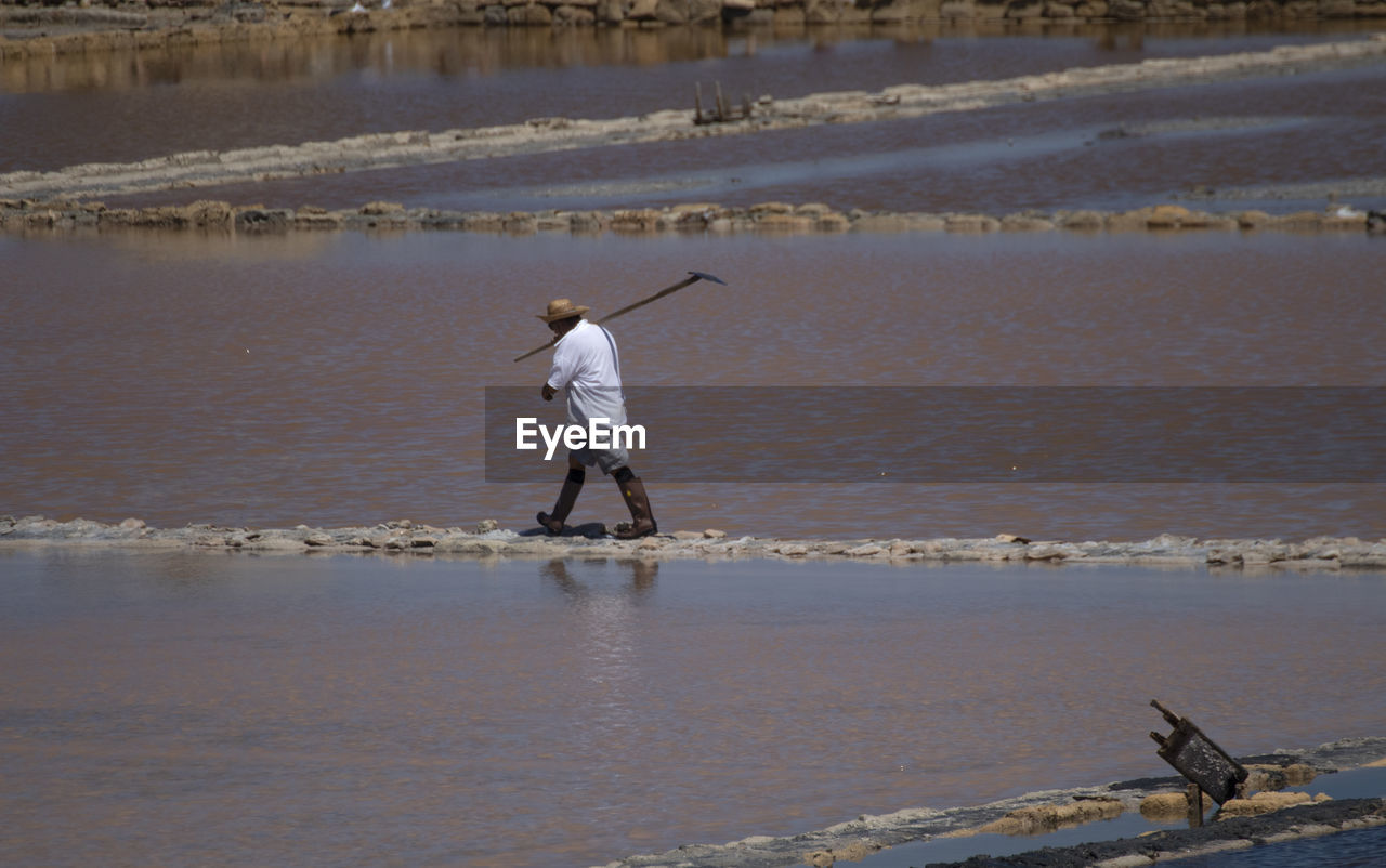 Farmer working in farm