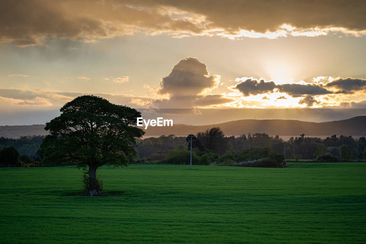 Scenic view of field against sky during sunset