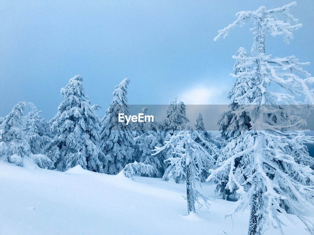 Scenic view of snow covered mountains against sky