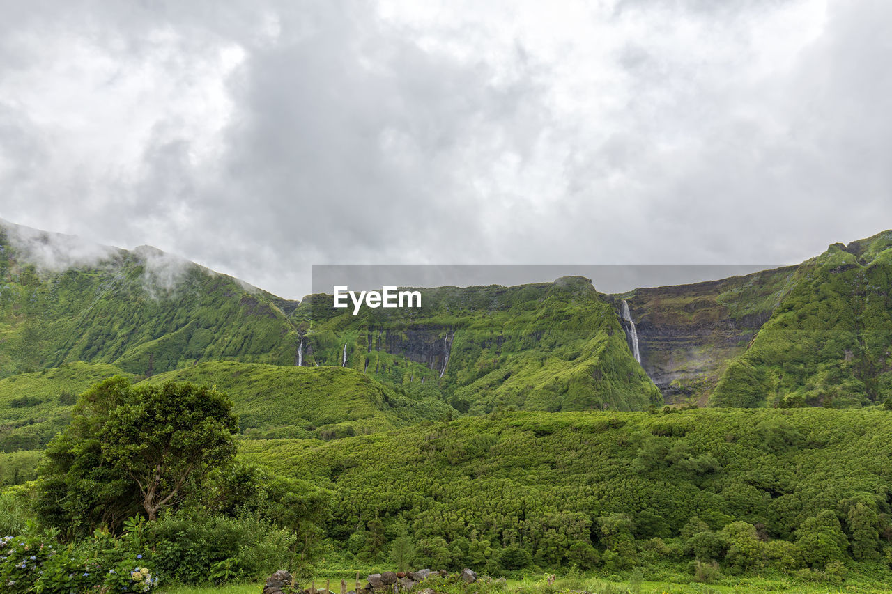 SCENIC VIEW OF LANDSCAPE AND TREES AGAINST SKY