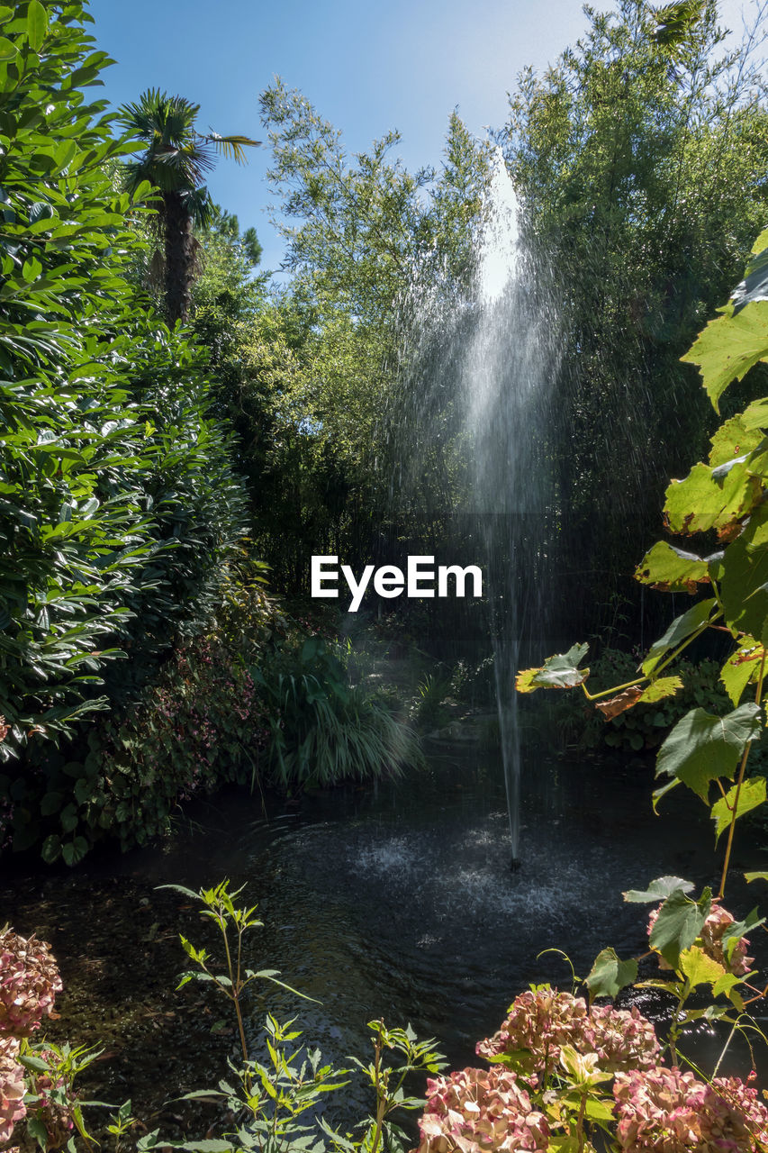 SCENIC VIEW OF WATERFALL AGAINST TREES