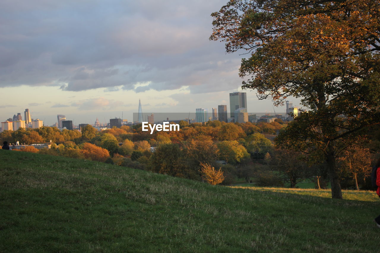VIEW OF TREES AND CITYSCAPE AGAINST SKY