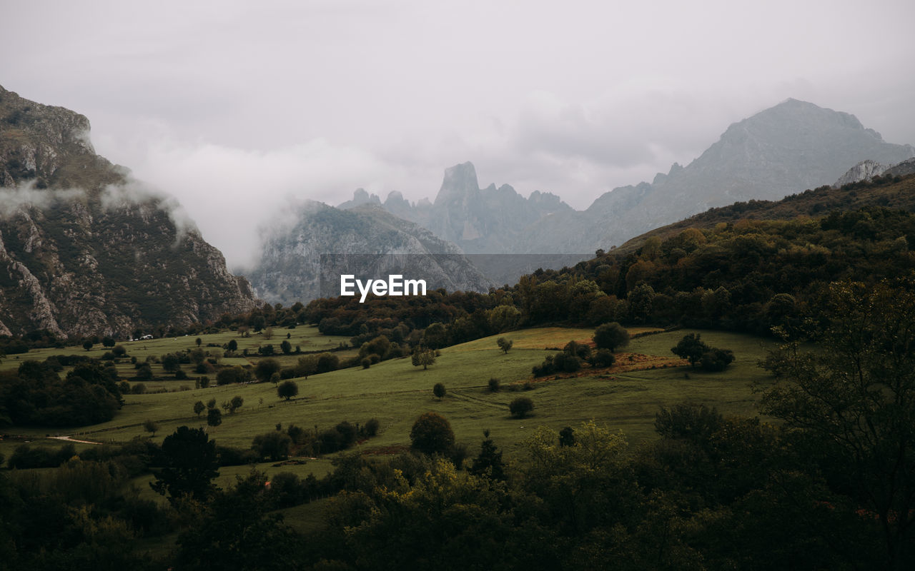 Scenic view of landscape with mountain in the background