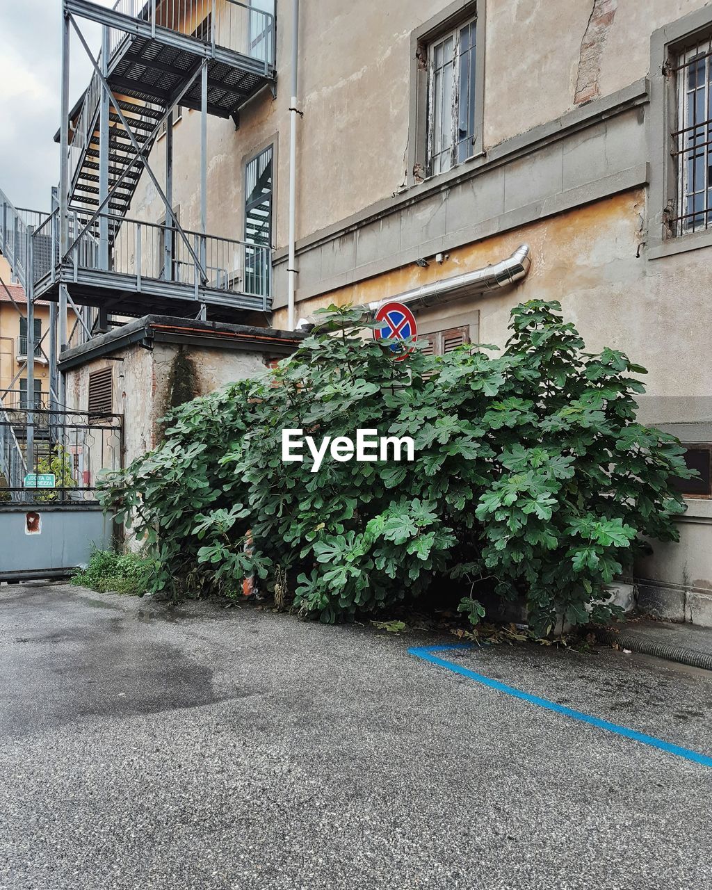 Street amidst buildings in city