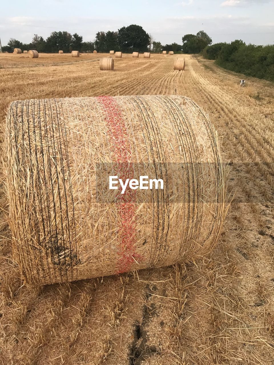 Hay bales on field against sky