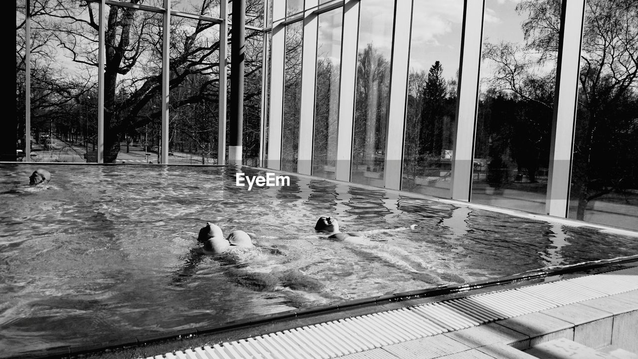 High angle view of women swimming in pool