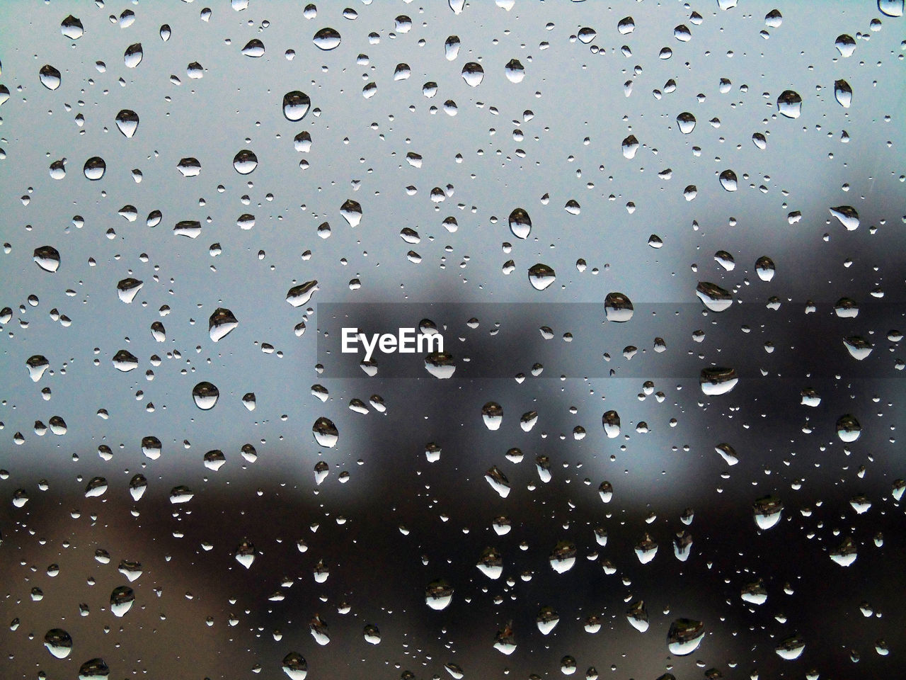 Close-up of water drops on glass window