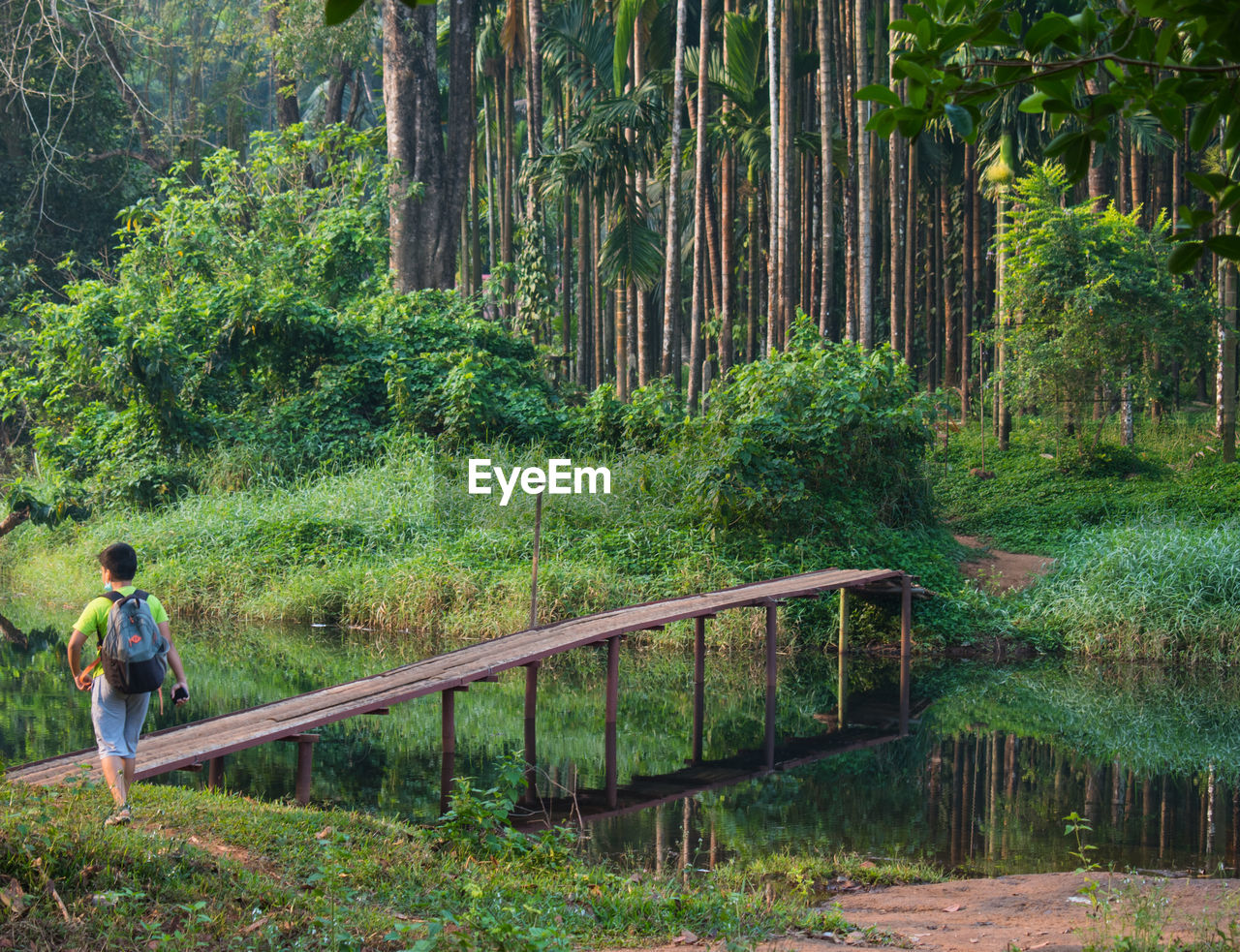 Rear view of boy walking in forest