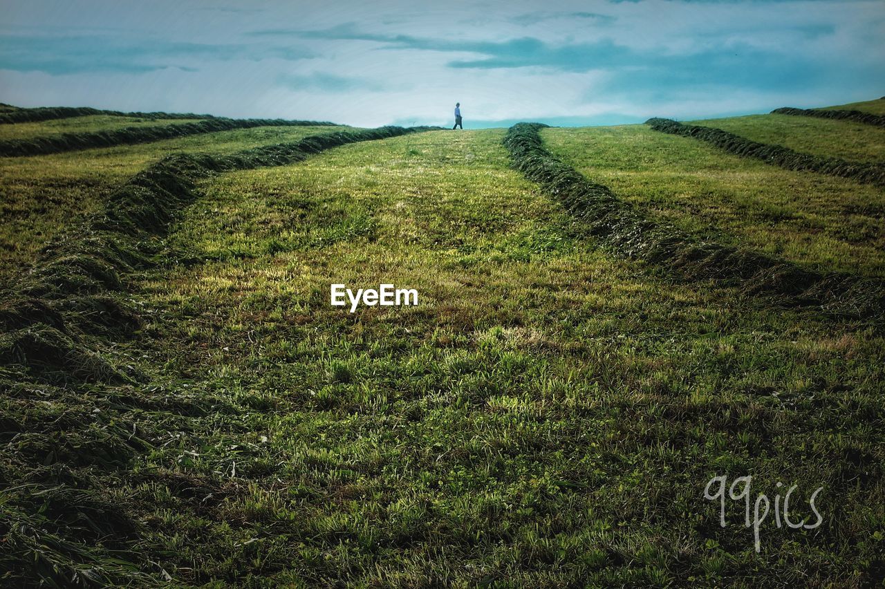SCENIC VIEW OF GREEN LANDSCAPE AGAINST SKY