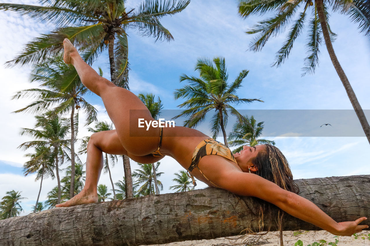 Low angle view of palm tree against sky with woman
