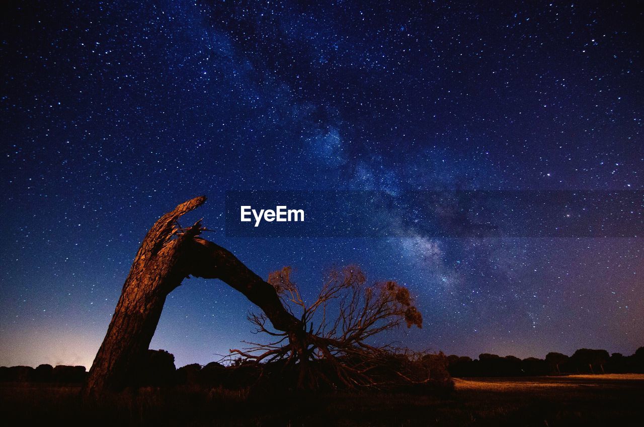Fallen tree on field against sky with star field