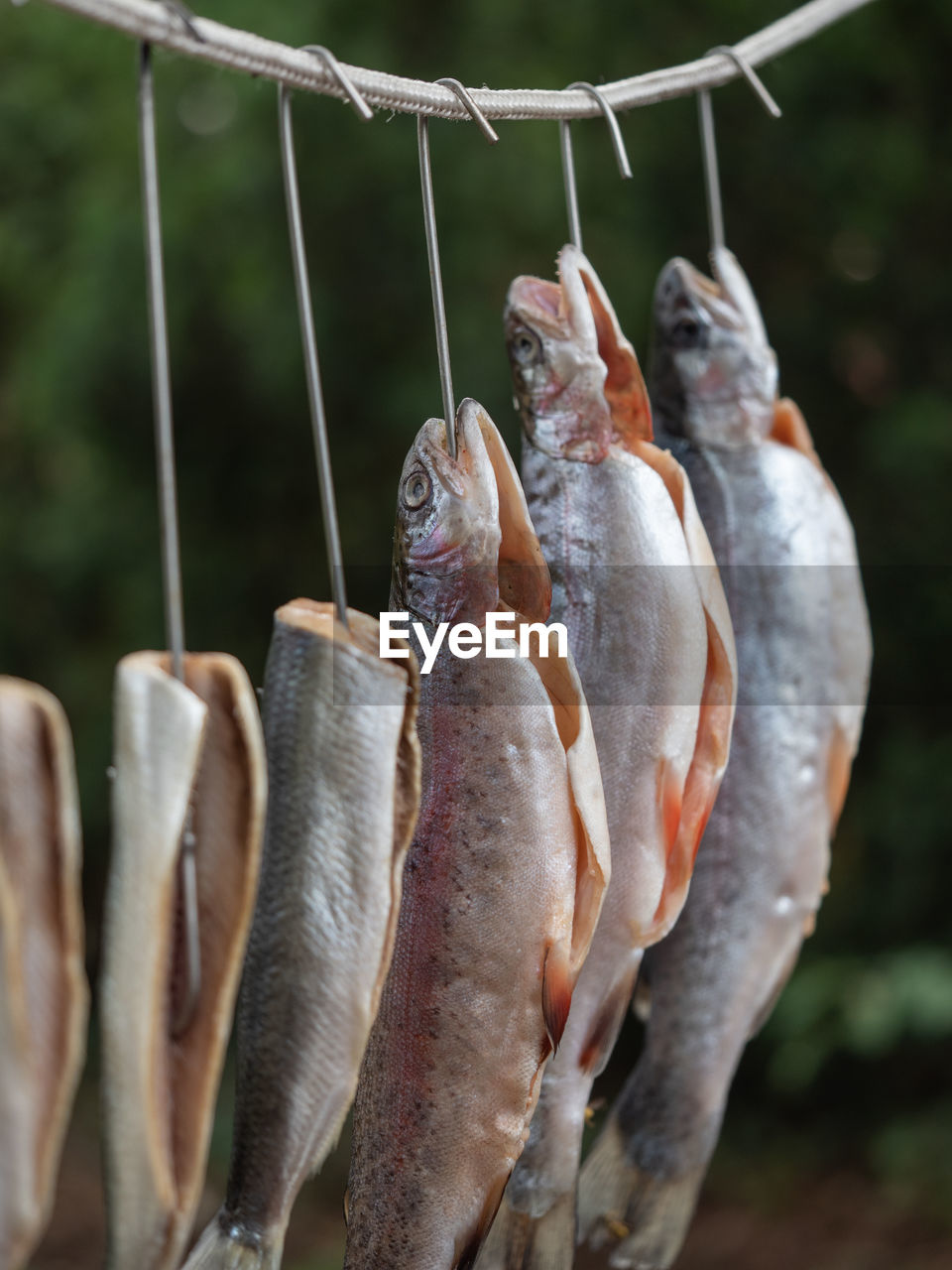 CLOSE-UP OF FISH FOR SALE AT MARKET STALL