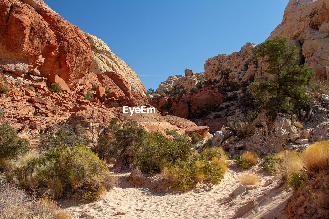 Rock formations. red rock canyon, nevada 