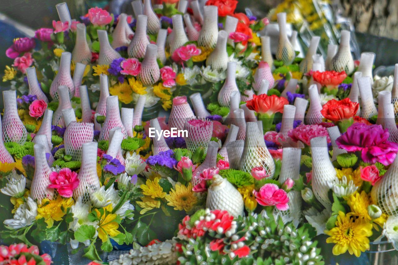 CLOSE-UP OF MULTI COLORED FLOWERING PLANTS