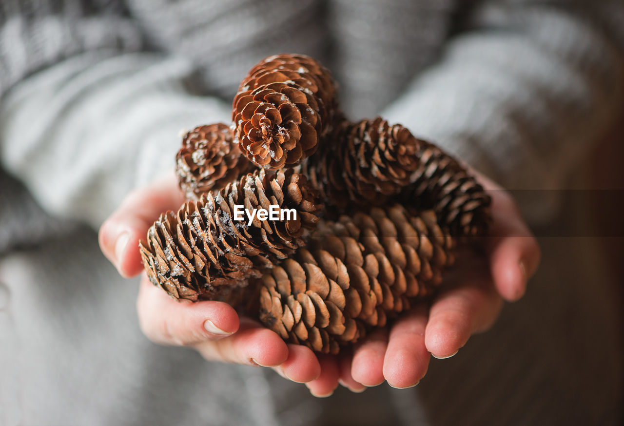 Midsection of woman holding pine cones