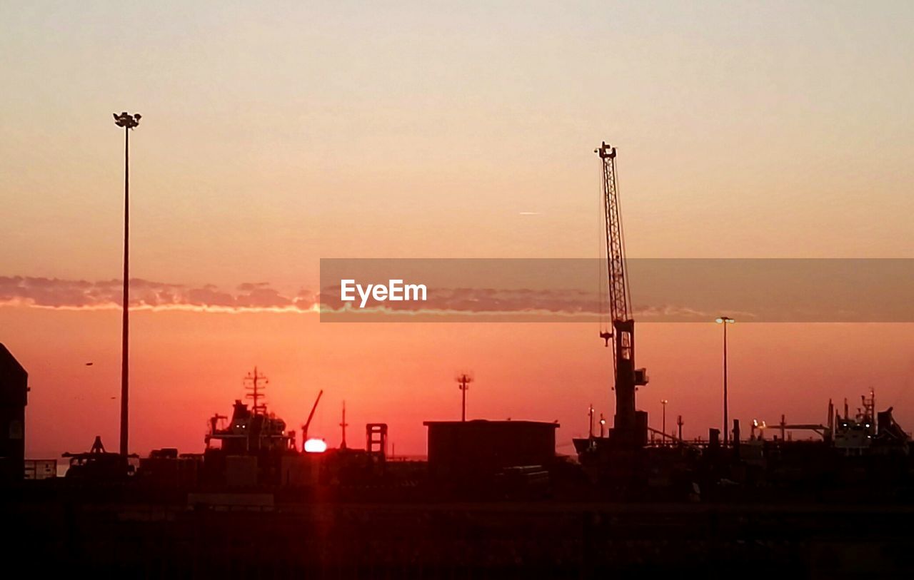 SILHOUETTE CRANES AT SUNSET