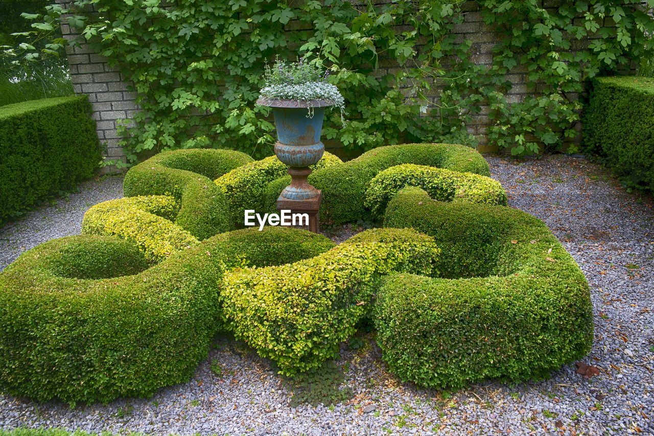 View of statue in garden