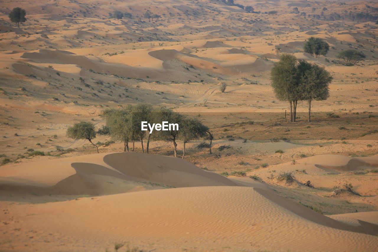 SCENIC VIEW OF ARID LANDSCAPE